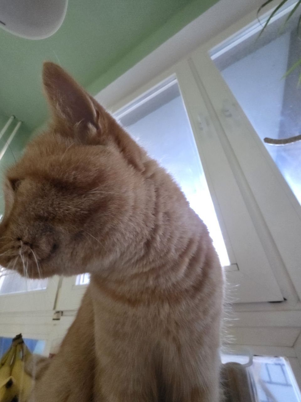 photo_AQADsw1rG7pTCUt-.jpg